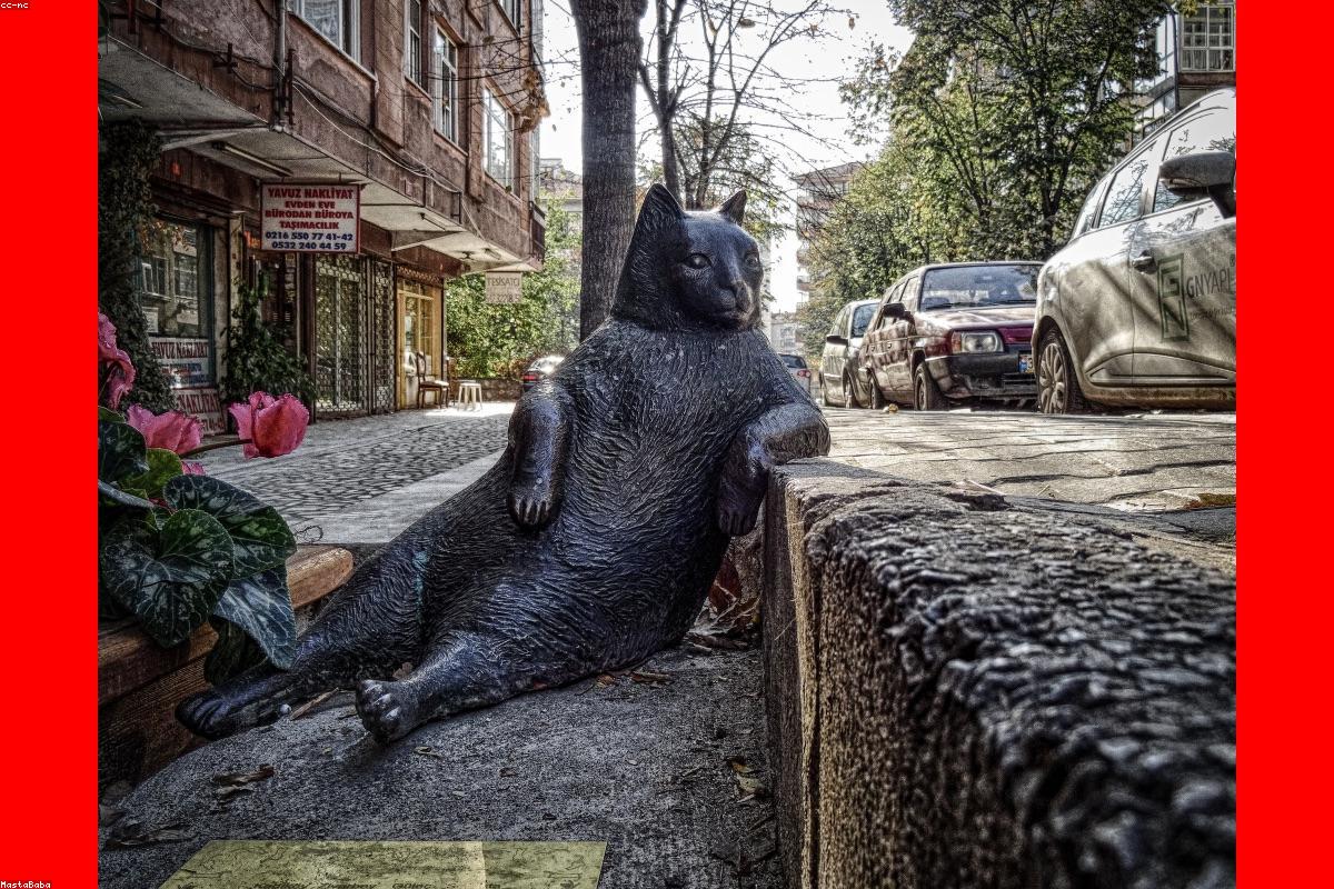 Budget Hotels In Bali: Complete Guide Top Budget Hotels by Region